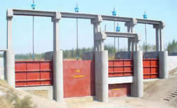 ���̌���